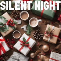 Silent Night - Instrumental cover